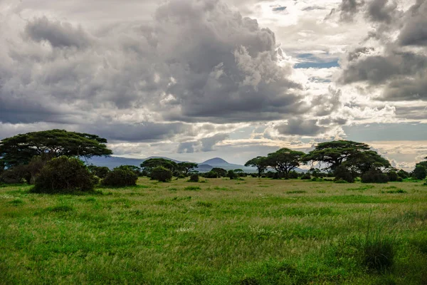 Paisagem Fotos Parque Nacional Tsavo East Tsavo Oeste Amboseli — Fotografia de Stock