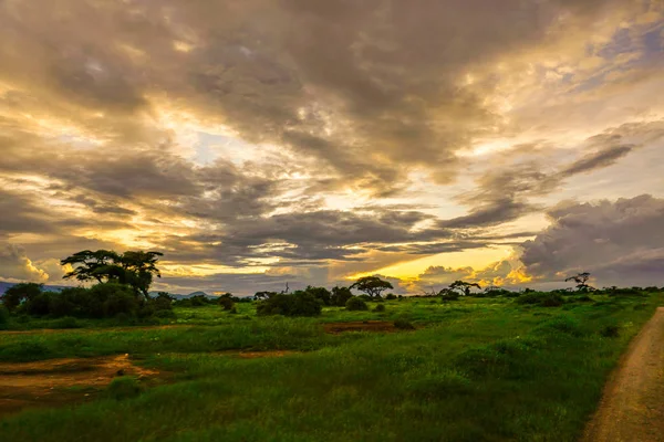 Krajobrazy Parku Narodowego Tsavo East Tsavo West Amboseli — Zdjęcie stockowe