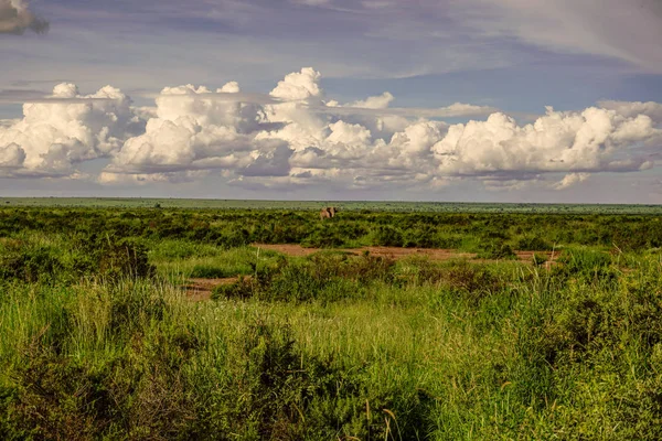 Paesaggio Dal Parco Nazionale Tsavo Est Tsavo Ovest Amboseli — Foto Stock