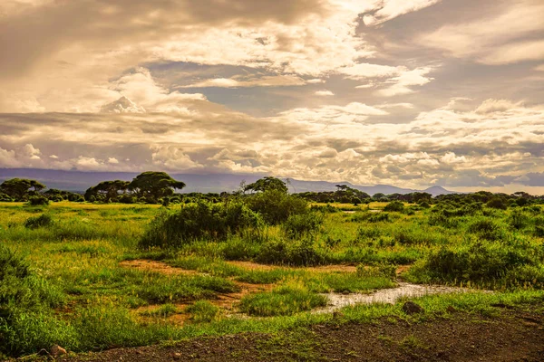 Krajobrazy Parku Narodowego Tsavo East Tsavo West Amboseli — Zdjęcie stockowe