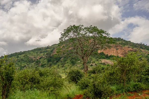 Landscape Pictures National Park Tsavo East Tsavo West Amboseli — Stock Photo, Image