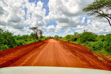 National Park Tsavo Doğu Tsavo West ve Amboseli 'nin manzara resimleri.