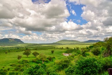 National Park Tsavo Doğu Tsavo West ve Amboseli 'nin manzara resimleri.