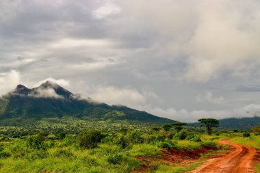 National Park Tsavo Doğu Tsavo West ve Amboseli 'nin manzara resimleri.
