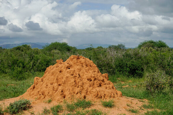 Пейзажи из национального парка Цаво Восточное Цаво Запад и Амбосели