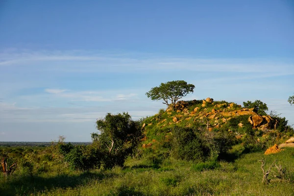 Tsavo East Tsavo West和Amboseli国家公园的风景画 — 图库照片