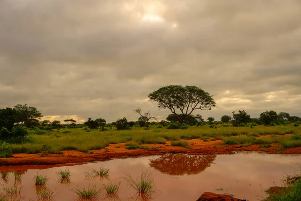 Krajinné Fotografie Národního Parku Tsavo East Tsavo West Amboseli — Stock fotografie