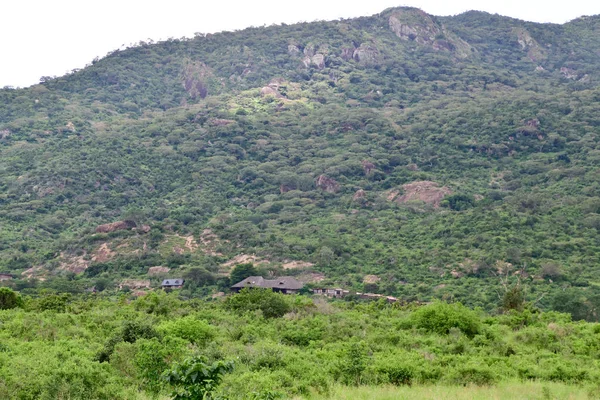 Τοπικές Εικόνες Από Εθνικό Πάρκο Tsavo East Tsavo West Και — Φωτογραφία Αρχείου