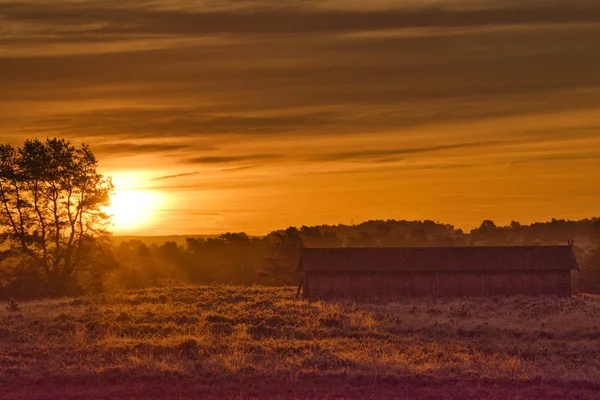 Goldener Herbst Der Lneburger Heide Bei Undeloh — Fotografia de Stock