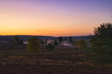 Goldener Herbst in der Lneburger Heide bei Undeloh