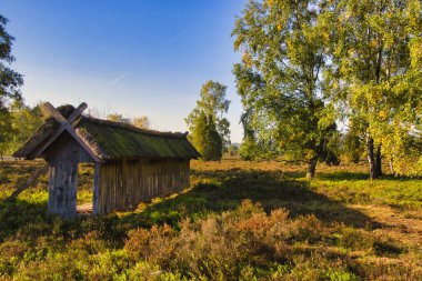 Goldener Herbst in der Lneburger Heide bei Undeloh