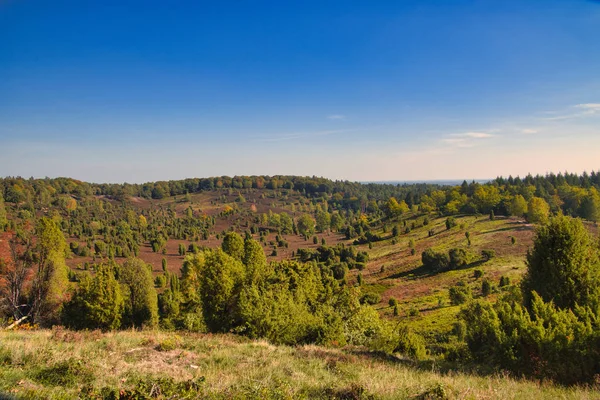 Goldener Herbst Der Lneburger Heide Bei Undeloh Ban — Stock Fotó