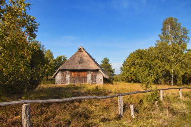 Goldener Herbst in der Lneburger Heide bei Undeloh