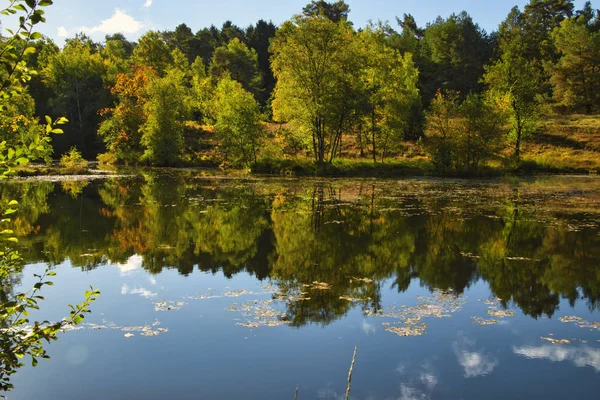 Goldener Herbst Der Lneburger Heide Bei Undeloh — Foto de Stock
