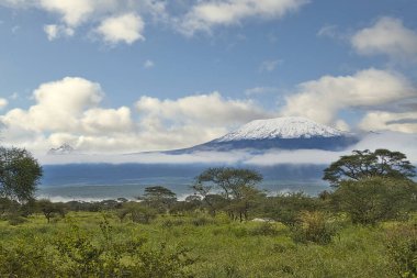 Tanzanya 'daki karla kaplı Kilimanjaro' nun resimleri