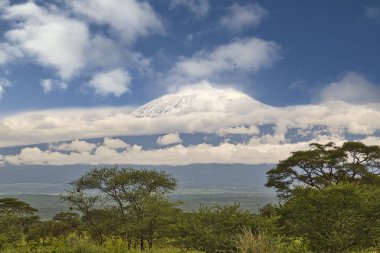 Tanzanya 'daki karla kaplı Kilimanjaro' nun resimleri