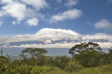 Tanzanya 'daki karla kaplı Kilimanjaro' nun resimleri