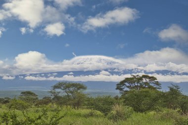 Tanzanya 'daki karla kaplı Kilimanjaro' nun resimleri