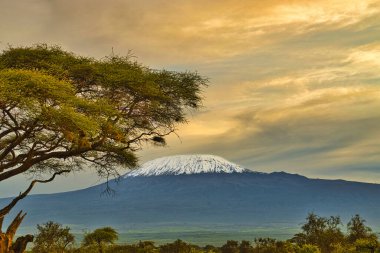 Tanzanya 'daki karla kaplı Kilimanjaro' nun resimleri