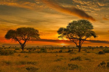 Kenya 'daki Tsavo Doğu ve Tsavo Batı Ulusal Parkı' nda gün batımı ve gündoğumu