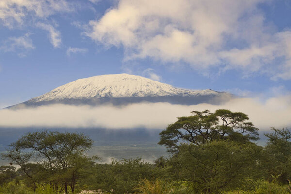 Pictures of the snow-covered Kilimanjaro in Tanzania