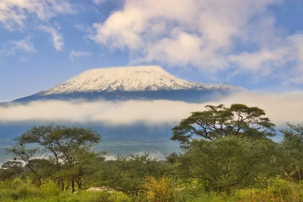 Imágenes Del Kilimanjaro Cubierto Nieve Tanzania — Foto de Stock