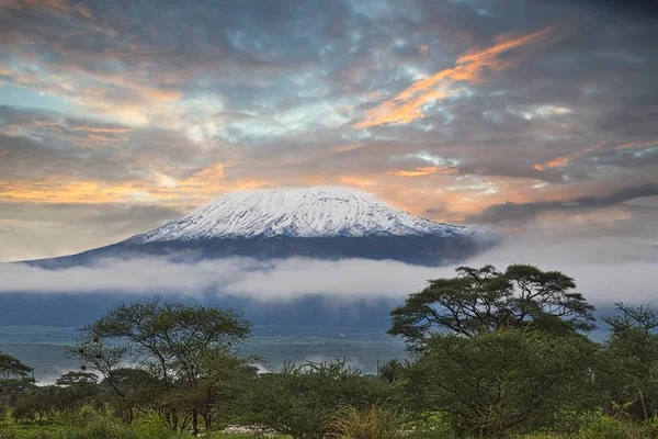 Imágenes Del Kilimanjaro Cubierto Nieve Tanzania — Foto de Stock