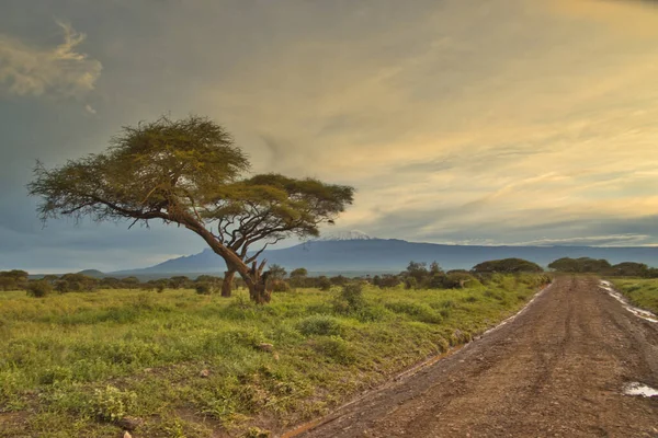 Fotografie Zasněženého Kilimandžára Tanzanii — Stock fotografie