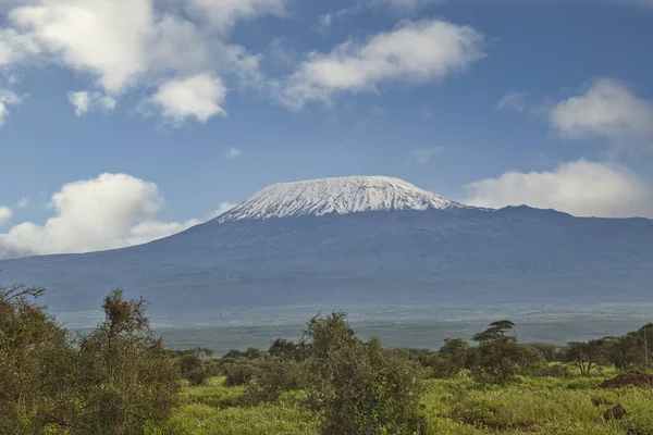 Imágenes Del Kilimanjaro Cubierto Nieve Tanzania — Foto de Stock