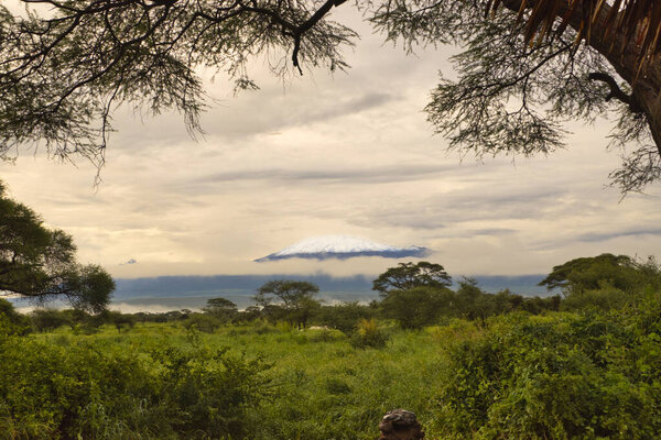 Pictures of the snow-covered Kilimanjaro in Tanzania