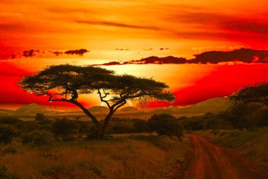 Kenya 'daki Tsavo Doğu ve Tsavo Batı Ulusal Parkı' nda gün batımı ve gündoğumu