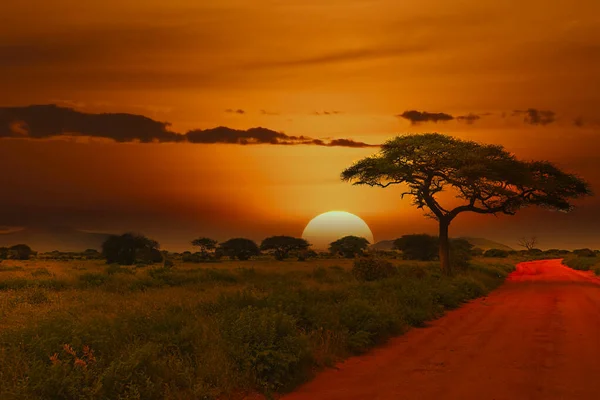 Zachód Wschód Słońca Tsavo East Tsavo West National Park Kenii — Zdjęcie stockowe
