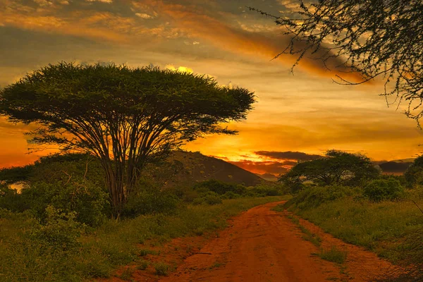 Sunset Sunrise Tsavo East Tsavo West National Park Kenya — Stock Photo, Image