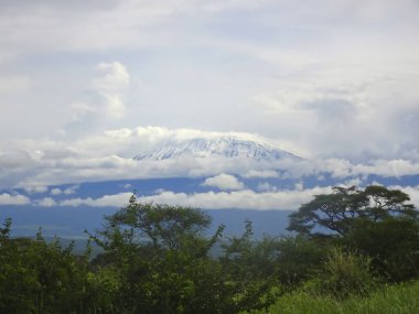 Tanzanya 'daki karla kaplı Kilimanjaro' nun resimleri