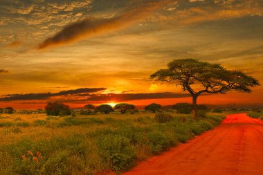 Kenya 'daki Tsavo Doğu ve Tsavo Batı Ulusal Parkı' nda gün batımı ve gündoğumu
