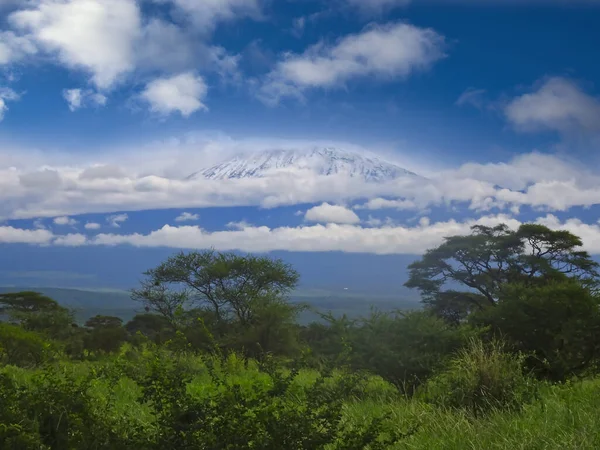 Imágenes Del Kilimanjaro Cubierto Nieve Tanzania — Foto de Stock