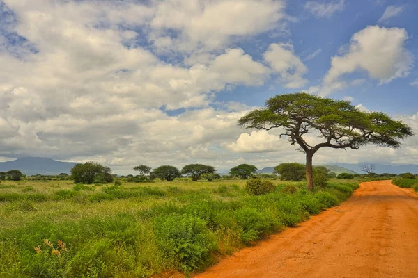 Foto Van Besneeuwde Kilimanjaro Tanzania — Stockfoto