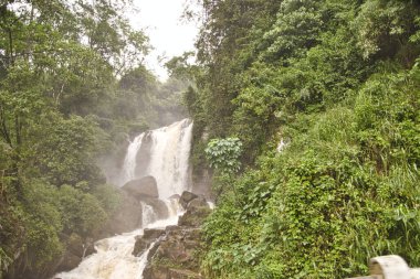 Sri Lanka 'nın çok güzel manzara resimleri.