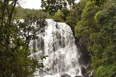 Sri Lanka 'nın çok güzel manzara resimleri.