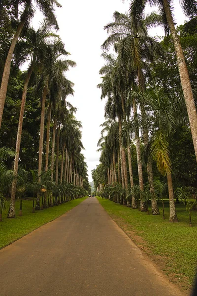 Sehr Schöne Landschaftsbilder Von Sri Lanka — Stockfoto