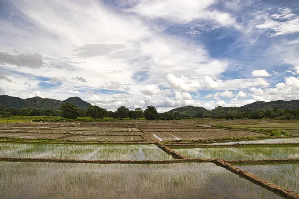 Sri Lanka 'nın çok güzel manzara resimleri.