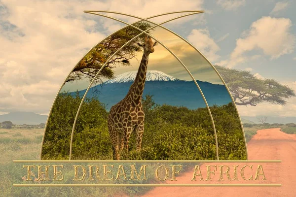 非洲日落和日出与大象和长颈鹿的美丽图片 — 图库照片