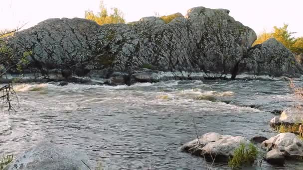 Маленькая горная река. Пейзаж с ручьем, протекающим между скалами. Вода в горах. Речные пороги — стоковое видео