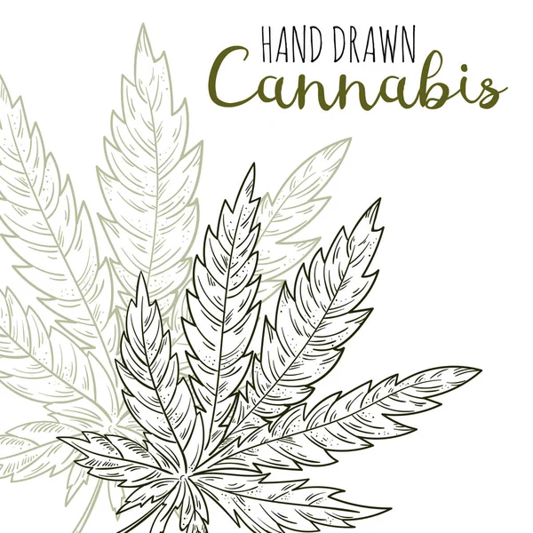 Marihuana yaprağı. El çizimi element kenevir. Eskiz tarzında kenevir dalı çizilmiş vektör botanik el çizimi. — Stok Vektör