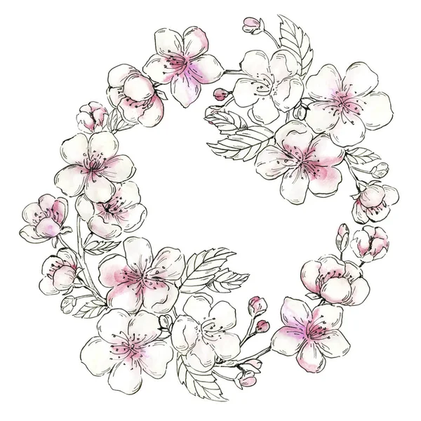 桜の花輪の水彩画。手描きの花木。花のフレーム。ピンクの桜の花の枝を咲かせます。白地に孤立した桜の植物図. — ストック写真