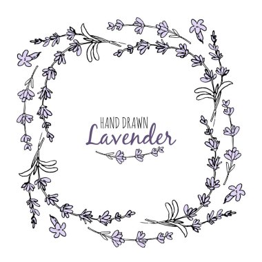 El çizimi dekoratif unsurlar, lavantanın yuvarlak çerçevesi. Vektör çizimi. Metnin için yer.
