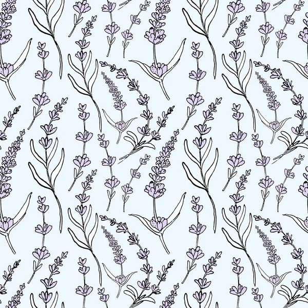 Delikat vektor sömlös Lavendel mönster på vitt. Handritad vintage örtskiss. Örtlavendel skiss isolerad på blå för tapeter, textil, design förpackning, bröllopskort, naturmedicin — Stock vektor