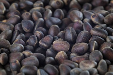 çam fıstığı masada - kadar yazıtları ile yakın