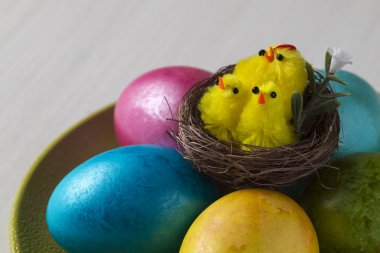 renkli tavuk yumurta Paskalya için