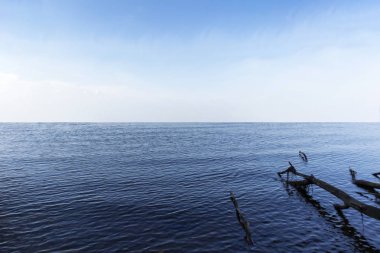 Nehrin doğadaki su yüzeyinin fotoğrafı.